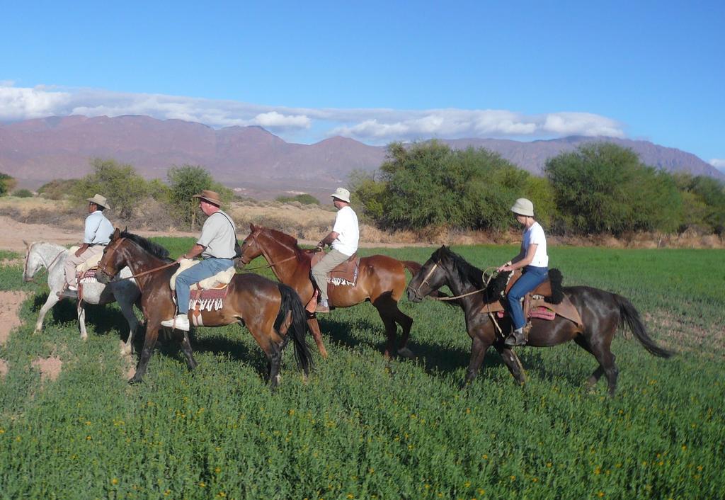 La Vaca Tranquila Bed & Breakfast Animana Luaran gambar